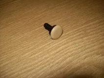 Niet Bambus